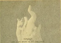 Picture 114 of 163 from Chinese clay figures (1914), leaf 388
