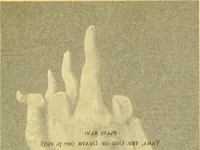 Picture 116 of 163 from Chinese clay figures (1914), leaf 392