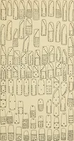 Picture 20 of 29 from Chinese games with dice and dominoes (1895), leaf 64