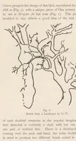 Picture 2 of 7 from Chinese grave-sculptures of the Han period (1911), leaf 32