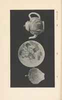 Picture 4 of 6 from Chinese porcelain (1902), leaf 466