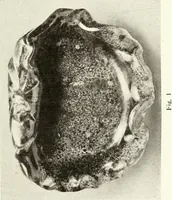 An illustration from Chinese pottery and porcelain : an account of the potter's art in China from primitive times to the present day (1915)
