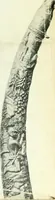 An illustration from Chinese pottery and porcelain : an account of the potter's art in China from primitive times to the present day (1915)
