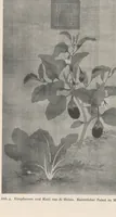 Picture 4 of 4 from Chinesische Sammlungen (1914), leaf 7