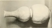 An illustration from Chinesisches Porzellan : seine Geschichte, Kunst und Technik (1913)