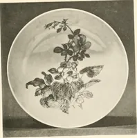 An illustration from Chinesisches Porzellan : seine Geschichte, Kunst und Technik (1913)