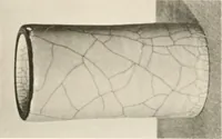 An illustration from Chinesisches Porzellan : seine Geschichte, Kunst und Technik (1913)