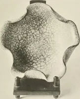 Picture 8 of 228 from Chinesisches Porzellan : seine Geschichte, Kunst und Technik (1913), leaf 46
