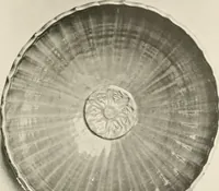 An illustration from Chinesisches Porzellan : seine Geschichte, Kunst und Technik (1913)