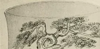 Picture 43 of 228 from Chinesisches Porzellan : seine Geschichte, Kunst und Technik (1913), leaf 86