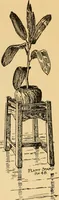 An illustration from Chips from the workshop of Gustave Stickley, Syracuse, N.Y., U.S.A. (1901)