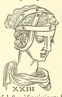 An illustration from Chirurgia (1544)