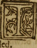 Picture 28 of 30 from The Christian synagogue : Wherein is contayned the diverse reading, the right poynting, translation, and collation of scripture with scripture. With the customes of the Hebrewes and proselytes, and of all those nations, with whom they were conversant .. (1633), leaf 324