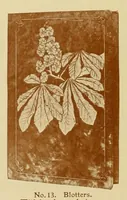 Picture 12 of 16 from Choice & charming presents. (1911), leaf 30