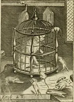 An illustration from Choice emblems, divine and moral, antient and modern, or, Delights for the ingenious, in above fifty select emblems , curiously ingraven upon copper-plates : with fifty pleasant poems and lots, by way of lottery, for illustrating each emblem to promote instruction and good counsel by diverting recreation (1732)