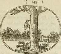 An illustration from Choice emblems : natural, historical, fabulous, moral and divine, for the improvement and pastime of youth : ornamented with near fifty handsome allegorical engravings, designed on purpose for this work : with pleasing and familiar descriptions to each, in prose and verse, serving to display the beauties and morals of the ancient fabulists : the whole calculated to convey the golden lessons of instruction under a new and more delightful dress : written for the amusement of the right honorable Lord Newbattle (1772)