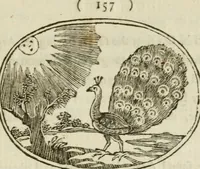 Picture 39 of 45 from Choice emblems : natural, historical, fabulous, moral and divine, for the improvement and pastime of youth : ornamented with near fifty handsome allegorical engravings, designed on purpose for this work : with pleasing and familiar descriptions to each, in prose and verse, serving to display the beauties and morals of the ancient fabulists : the whole calculated to convey the golden lessons of instruction under a new and more delightful dress : written for the amusement of the right honorable Lord Newbattle (1772), leaf 174