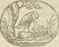 An illustration from Choice emblems : natural, historical, fabulous, moral and divine, for the improvement and pastime of youth : ornamented with near fifty handsome allegorical engravings, designed on purpose for this work : with pleasing and familiar descriptions to each, in prose and verse, serving to display the beauties and morals of the ancient fabulists : the whole calculated to convey the golden lessons of instruction under a new and more delightful dress : written for the amusement of the right honorable Lord Newbattle (1772)