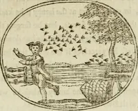 An illustration from Choice emblems : natural, historical, fabulous, moral and divine, for the improvement and pastime of youth : ornamented with near fifty handsome allegorical engravings, designed on purpose for this work : with pleasing and familiar descriptions to each, in prose and verse, serving to display the beauties and morals of the ancient fabulists : the whole calculated to convey the golden lessons of instruction under a new and more delightful dress : written for the amusement of the right honorable Lord Newbattle (1772)