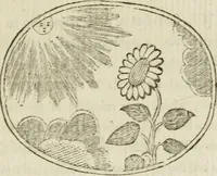 Picture 10 of 45 from Choice emblems : natural, historical, fabulous, moral and divine, for the improvement and pastime of youth : ornamented with near fifty handsome allegorical engravings, designed on purpose for this work : with pleasing and familiar descriptions to each, in prose and verse, serving to display the beauties and morals of the ancient fabulists : the whole calculated to convey the golden lessons of instruction under a new and more delightful dress : written for the amusement of the right honorable Lord Newbattle (1772), leaf 50