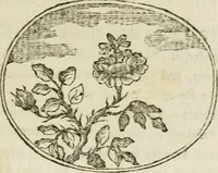 An illustration from Choice emblems : natural, historical, fabulous, moral and divine, for the improvement and pastime of youth : ornamented with near fifty handsome allegorical engravings, designed on purpose for this work : with pleasing and familiar descriptions to each, in prose and verse, serving to display the beauties and morals of the ancient fabulists : the whole calculated to convey the golden lessons of instruction under a new and more delightful dress : written for the amusement of the right honorable Lord Newbattle (1772)