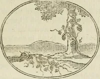 An illustration from Choice emblems : natural, historical, fabulous, moral and divine, for the improvement and pastime of youth : ornamented with near fifty handsome allegorical engravings, designed on purpose for this work : with pleasing and familiar descriptions to each, in prose and verse, serving to display the beauties and morals of the ancient fabulists : the whole calculated to convey the golden lessons of instruction under a new and more delightful dress : written for the amusement of the right honorable Lord Newbattle (1772)