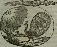 An illustration from Choice emblems, natural, historical, fabulous, moral, and divine : for the improvement and pastime of youth : displaying the beauties and morals of the ancient fabulists, the whole calculated to convey the golden lessons of instruction under a new and more delightful dress : written for the amusement of a young nobleman (1793)
