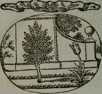 An illustration from Choice emblems, natural, historical, fabulous, moral, and divine : for the improvement and pastime of youth : displaying the beauties and morals of the ancient fabulists, the whole calculated to convey the golden lessons of instruction under a new and more delightful dress : written for the amusement of a young nobleman (1793)