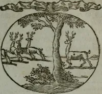 An illustration from Choice emblems, natural, historical, fabulous, moral, and divine : for the improvement and pastime of youth : displaying the beauties and morals of the ancient fabulists, the whole calculated to convey the golden lessons of instruction under a new and more delightful dress : written for the amusement of a young nobleman (1793)