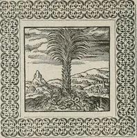 Picture 112 of 169 from A Choice of Emblemes, and other devises : For the moste parte gathered out of sundrie writers, Englished and Moralized. And divers newly devised (1586), leaf 127