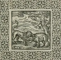 Picture 113 of 169 from A Choice of Emblemes, and other devises : For the moste parte gathered out of sundrie writers, Englished and Moralized. And divers newly devised (1586), leaf 128