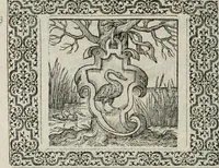 Picture 119 of 169 from A Choice of Emblemes, and other devises : For the moste parte gathered out of sundrie writers, Englished and Moralized. And divers newly devised (1586), leaf 135