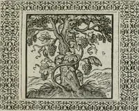 Picture 126 of 169 from A Choice of Emblemes, and other devises : For the moste parte gathered out of sundrie writers, Englished and Moralized. And divers newly devised (1586), leaf 142