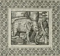 Picture 145 of 169 from A Choice of Emblemes, and other devises : For the moste parte gathered out of sundrie writers, Englished and Moralized. And divers newly devised (1586), leaf 159