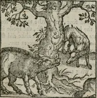 Picture 149 of 169 from A Choice of Emblemes, and other devises : For the moste parte gathered out of sundrie writers, Englished and Moralized. And divers newly devised (1586), leaf 162