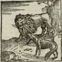 Picture 153 of 169 from A Choice of Emblemes, and other devises : For the moste parte gathered out of sundrie writers, Englished and Moralized. And divers newly devised (1586), leaf 165