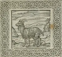 Picture 39 of 169 from A Choice of Emblemes, and other devises : For the moste parte gathered out of sundrie writers, Englished and Moralized. And divers newly devised (1586), leaf 58