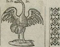 An illustration from A Choice of Emblemes, and other devises : For the moste parte gathered out of sundrie writers, Englished and Moralized. And divers newly devised (1586)