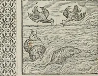 Picture 45 of 169 from A Choice of Emblemes, and other devises : For the moste parte gathered out of sundrie writers, Englished and Moralized. And divers newly devised (1586), leaf 61