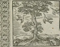 Picture 47 of 169 from A Choice of Emblemes, and other devises : For the moste parte gathered out of sundrie writers, Englished and Moralized. And divers newly devised (1586), leaf 62