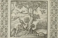 An illustration from A Choice of Emblemes, and other devises : For the moste parte gathered out of sundrie writers, Englished and Moralized. And divers newly devised (1586)