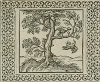 Picture 50 of 169 from A Choice of Emblemes, and other devises : For the moste parte gathered out of sundrie writers, Englished and Moralized. And divers newly devised (1586), leaf 64