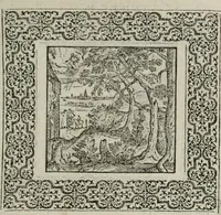 An illustration from A Choice of Emblemes, and other devises : For the moste parte gathered out of sundrie writers, Englished and Moralized. And divers newly devised (1586)