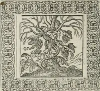 Picture 57 of 169 from A Choice of Emblemes, and other devises : For the moste parte gathered out of sundrie writers, Englished and Moralized. And divers newly devised (1586), leaf 71