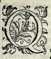 An illustration from Choronica que tratada vida e grandissimas virtudes, e bondades, magnanimo esforço, excellentes costumes, & manhas, & claros feytos do Christianissimo dom Ioão o segundo deste nome : & dos reys de Portugal o decimo tercio de gloriosa memoria : começado de seu nacimento, & toda sua vida até a hora de sua morte : com outras obras que adiante se seguem (1607)