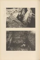 An illustration from Chōsen koseki zufu (1915)
