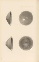 An illustration from Chōsen koseki zufu (1915)