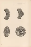 An illustration from Chōsen koseki zufu (1915)