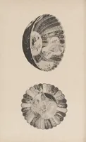An illustration from Chōshunkaku kanshō (1914)