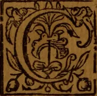 An illustration from The Christian conflict : a treatise shewing the difficulties and duties of this conflict .. (1635)